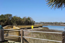 The boardwalk within the marsh